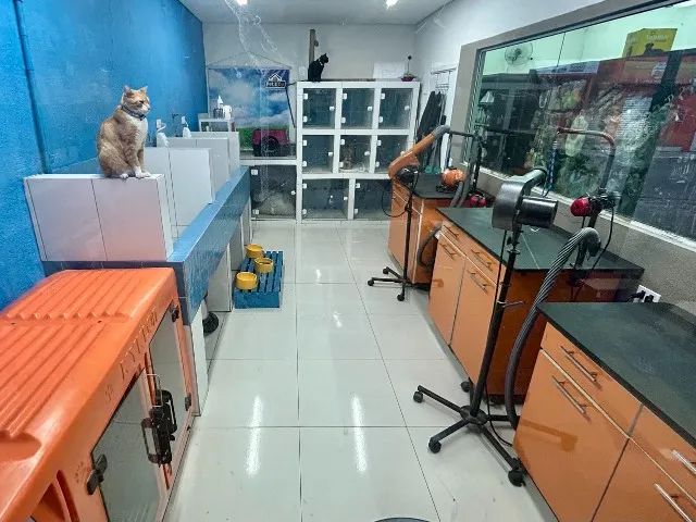 Pet Shop À Venda - Excelente Oportunidade no Centro de Guarulhos ( grande movimento ) - Foto 7