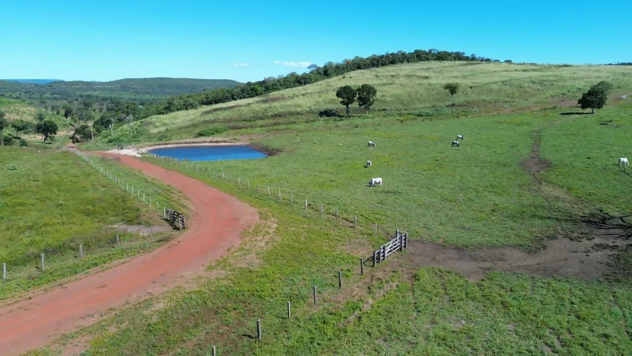 Fazenda Código 0100 - APTIDÃO PECUÁRIA  - Foto 5