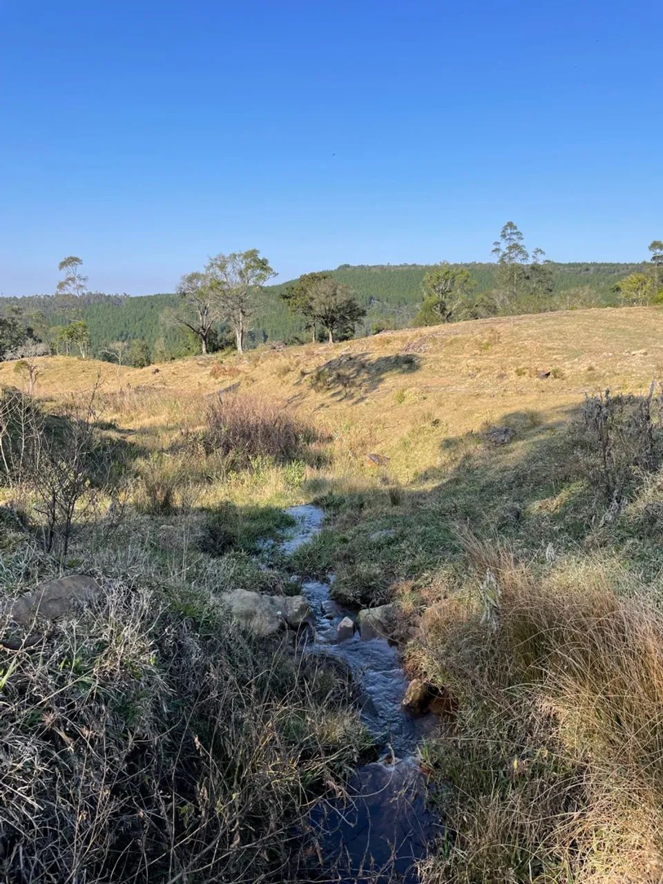 Sítios em Anitápolis  - Foto 4