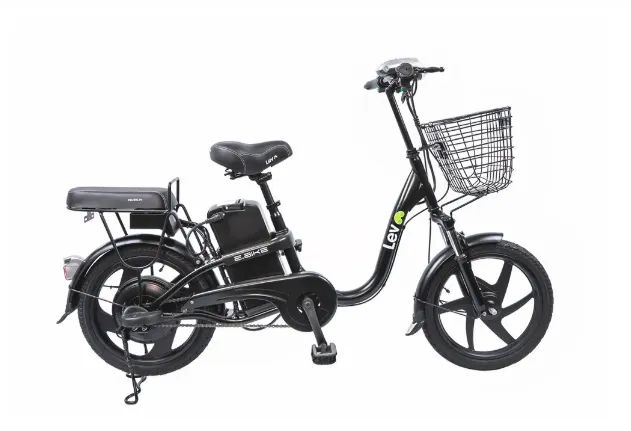 E BIKE LEV - Foto 2
