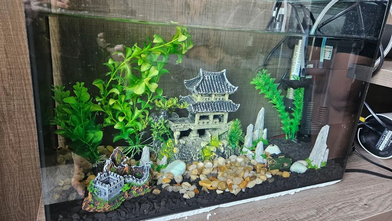 Vendo Aquario de 29 litros, completo e decorado