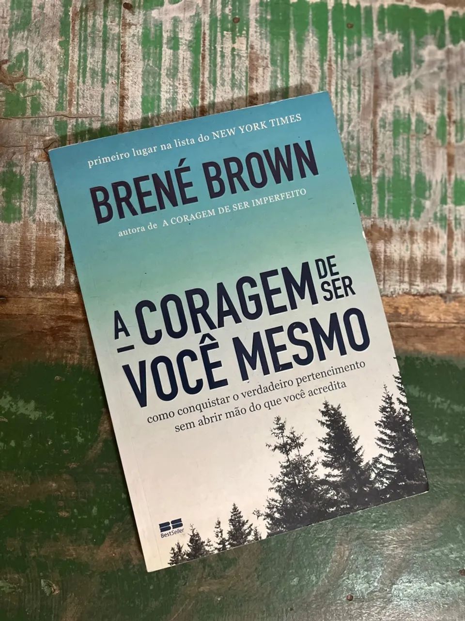 A Coragem de Ser Você Mesmo - Brené Brown