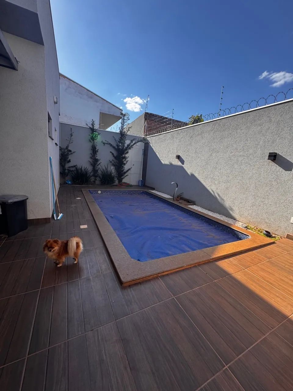 Foto - Campo Grande - Jardim Botânico