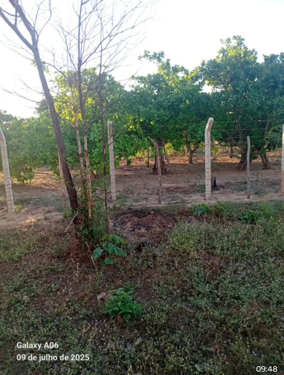 Vendo terreno (3 lotes 10m x 30m = 900m2)