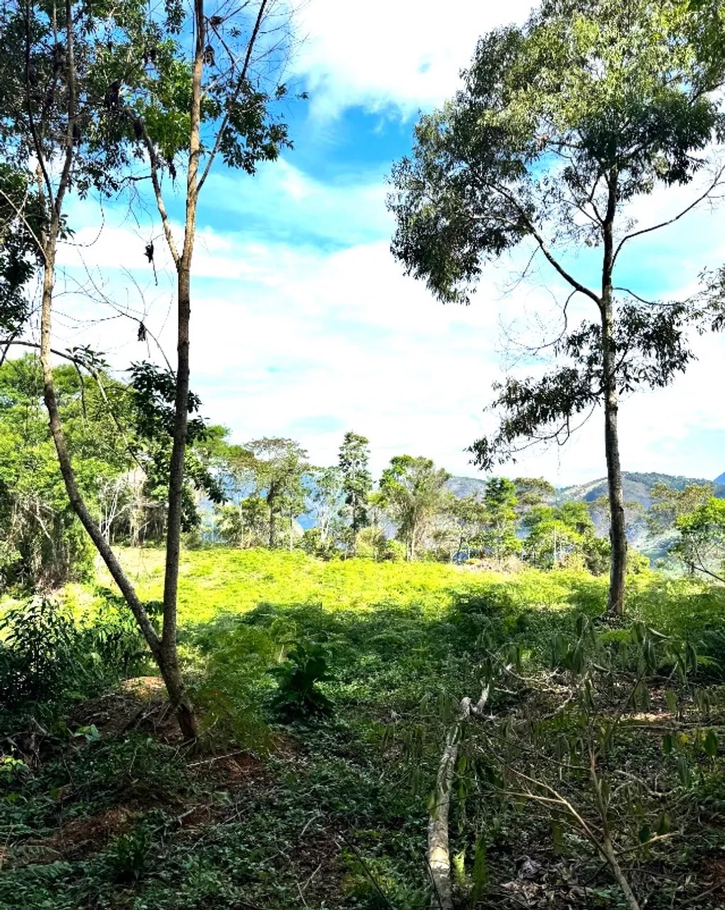 Terreno Rural em Castelo/ES - 19 ha com Energia Elétrica, Água de Nascente e Reserva Legal - Foto 2