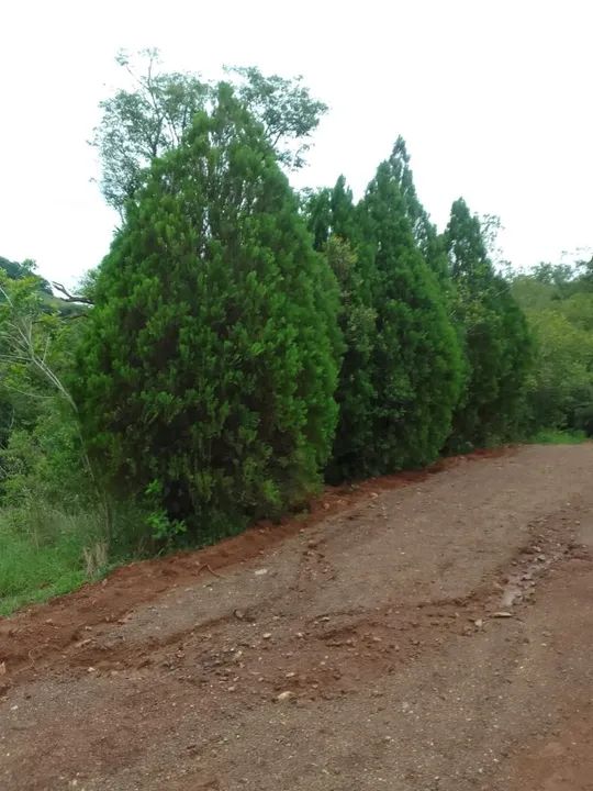Terreno zona rural