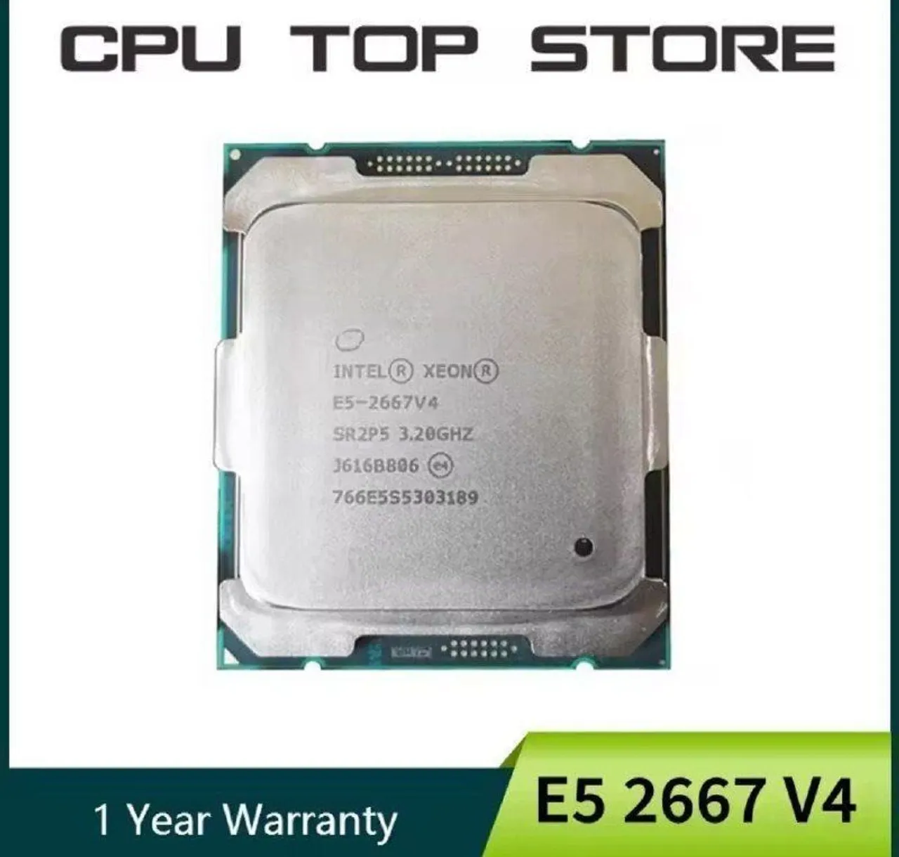 Processador Intel Xeon E5-2667 V4