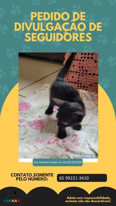 Lindos filhotes para adoção Responsável! - Foto 3