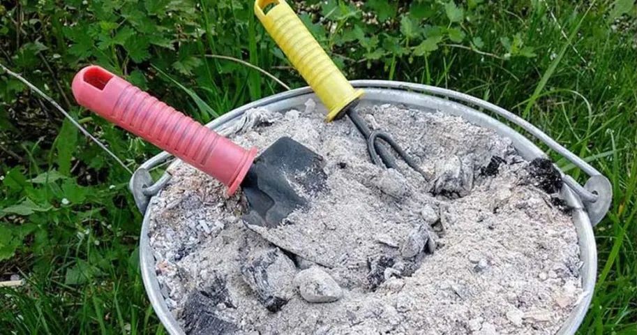 Adubo para qualquer planta - Foto 3