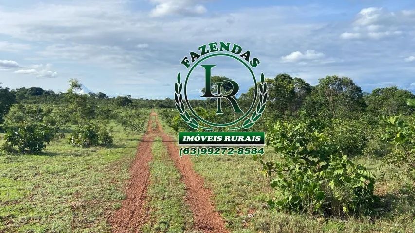 Fazenda 174 Alqueires Agricultura e Pecuária - Foto 5