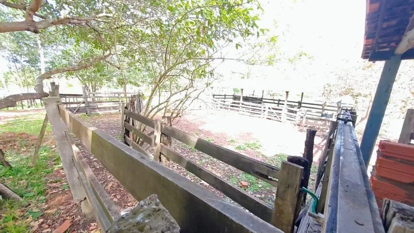Fazenda de 333ha em Itapecuru Mirim - Foto 4