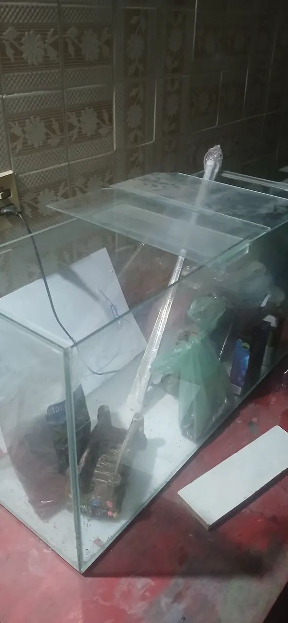 Aquário completo 64672972801155121