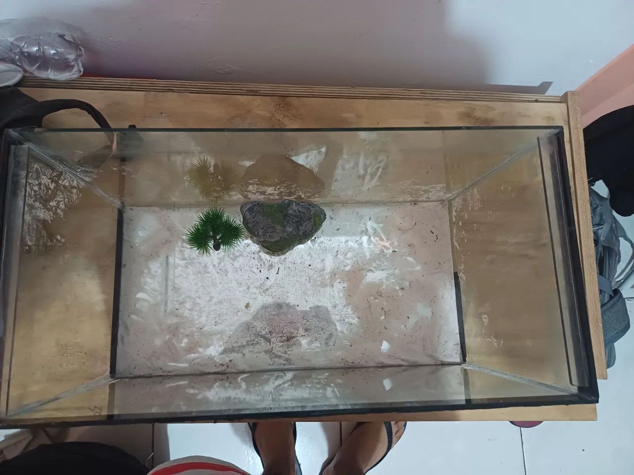 Aquário de vidro +50L - Foto 3