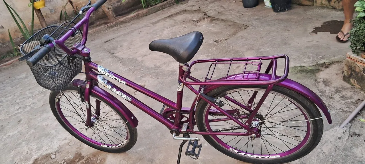 Bicicleta icleta Aro 20 Roxa com Cesta e Bagageiro