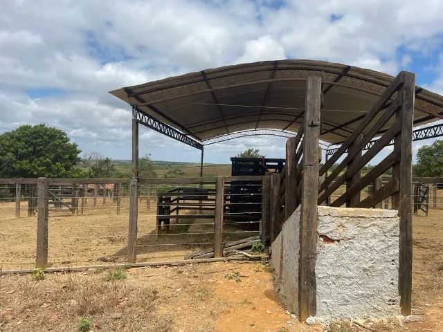 Fazenda Buriticupu-MA / 40 Alqueire - Foto 4