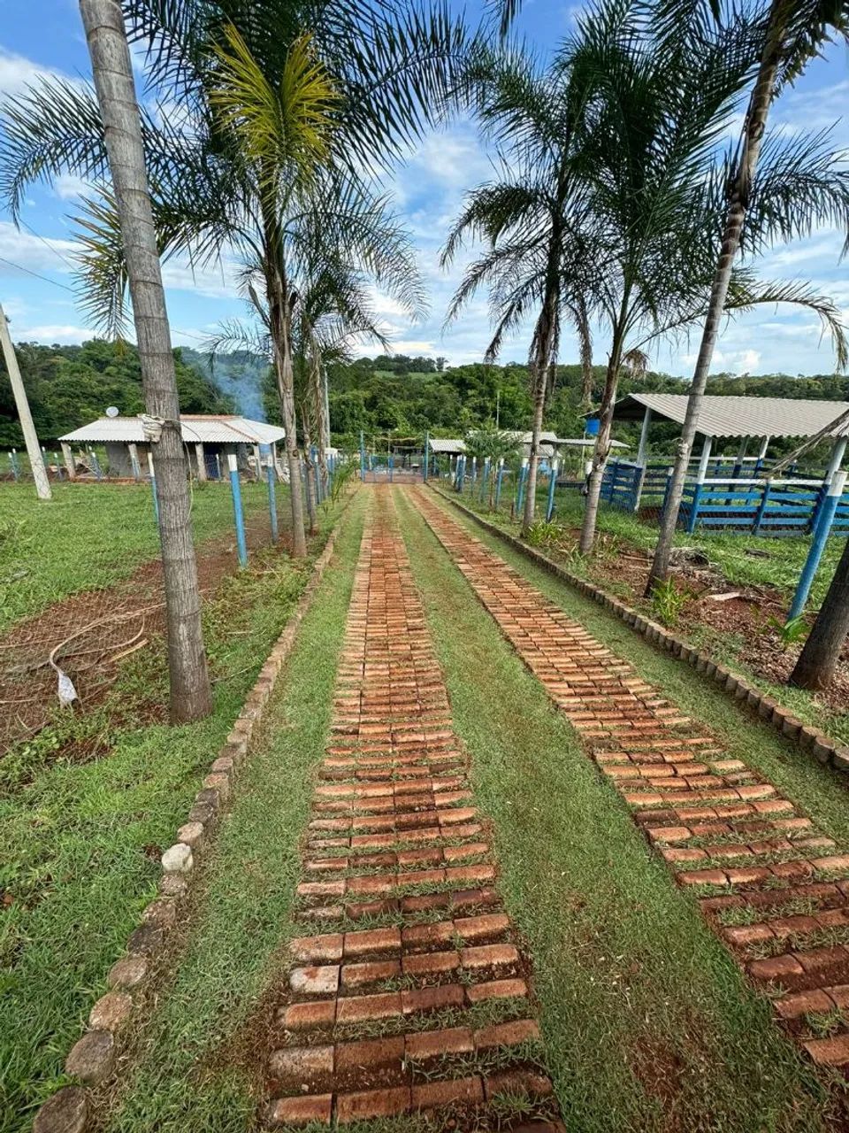 Foto - Uberaba - Parque das Américas