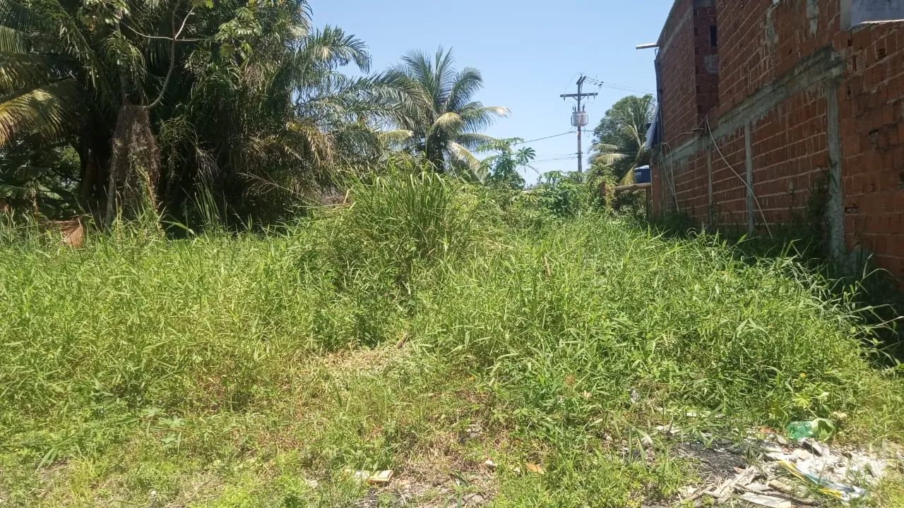 Foto - Ilhéus - Nossa Senhora da Vitória