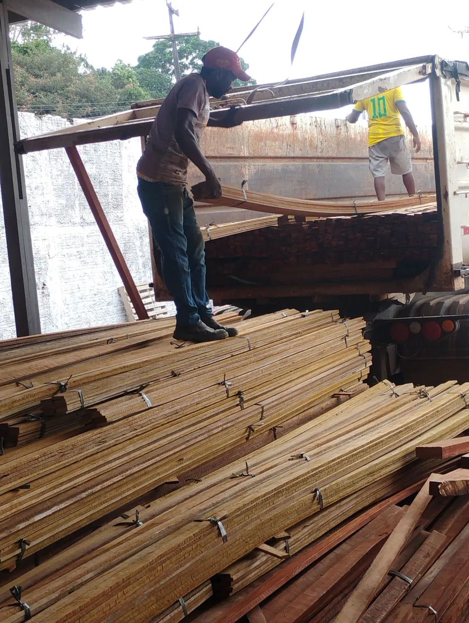 Madeira Maçaranduba e Pau Darco  - Foto 4