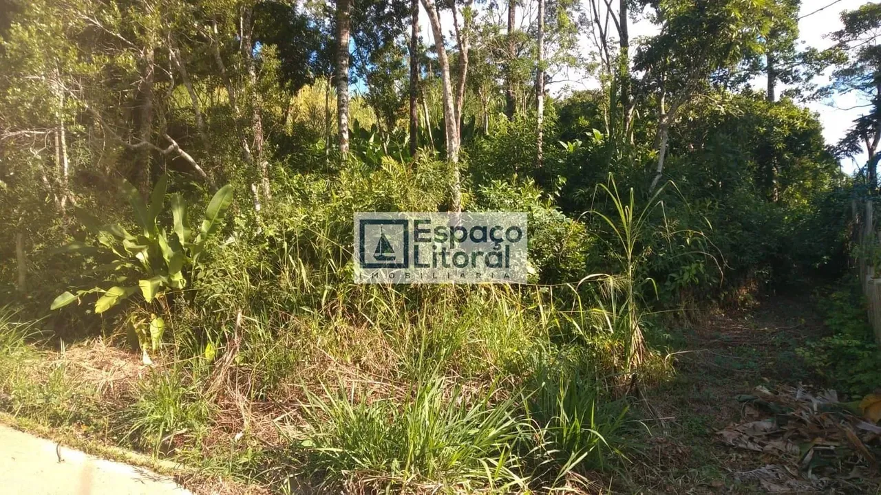 Terreno na Massaguaçu