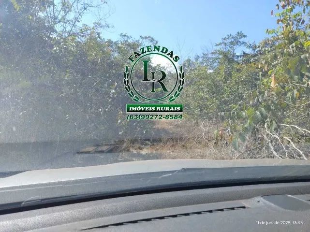 Fazenda 32 Alqueires ou seja 154 Hectares Dupla Aptidão - Foto 4
