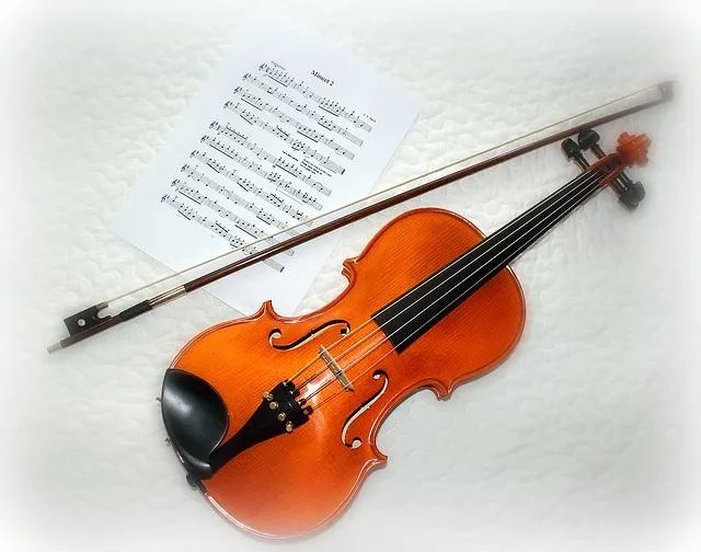 Curso de Violino sem mensalidades