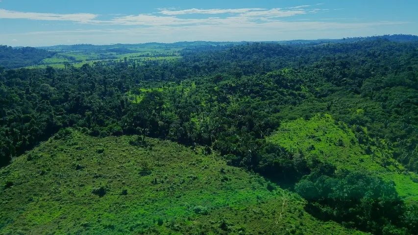 VENDO FAZENDA COM ÁREA DE 490 HECTARES - Foto 3