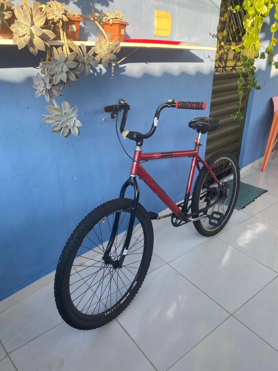 Bicicleta 