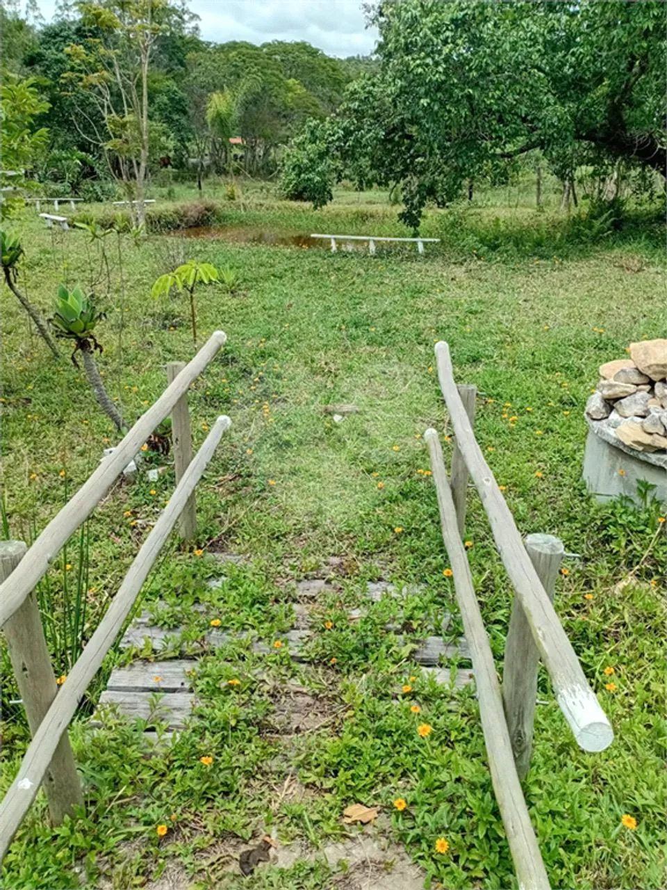 Sitio á venda em Lagoinha - Foto 3