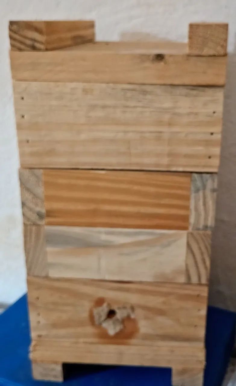 Caixa para abelha