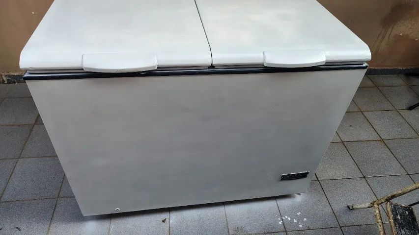 Vendo frizer de duas portas 