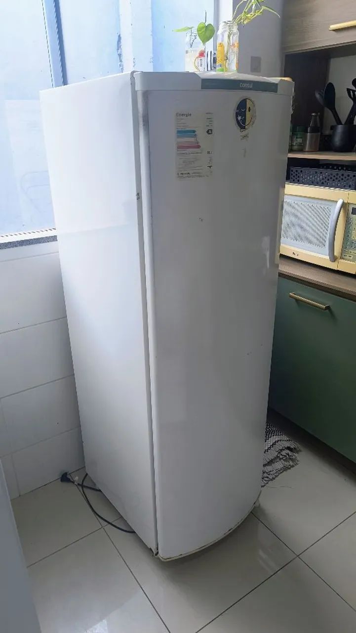 Geladeira Consul 280L