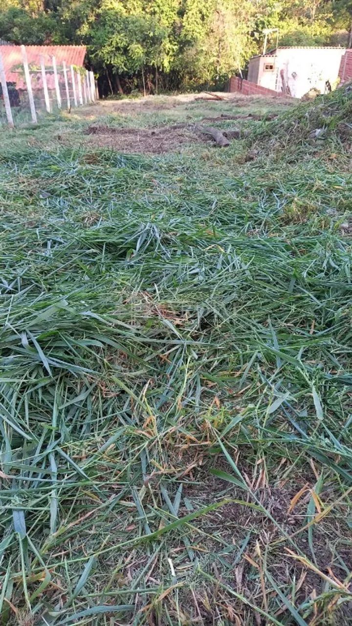 TERRENO PARA REALIZAR SONHOS, NATUREZA TOTAL. - Foto 3