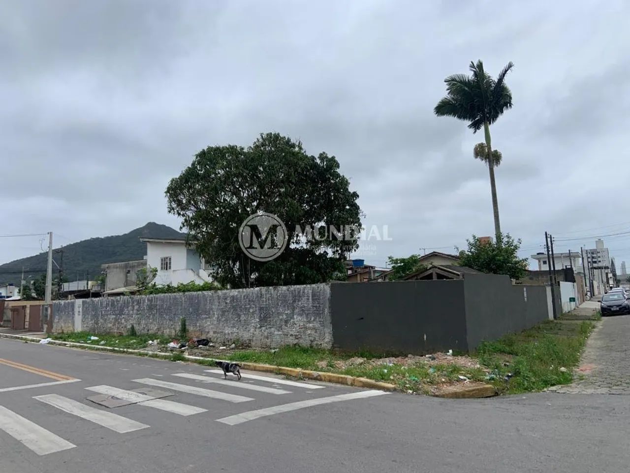 VENDE-SE TERRENO EM CAMBORIÚ - Foto 4