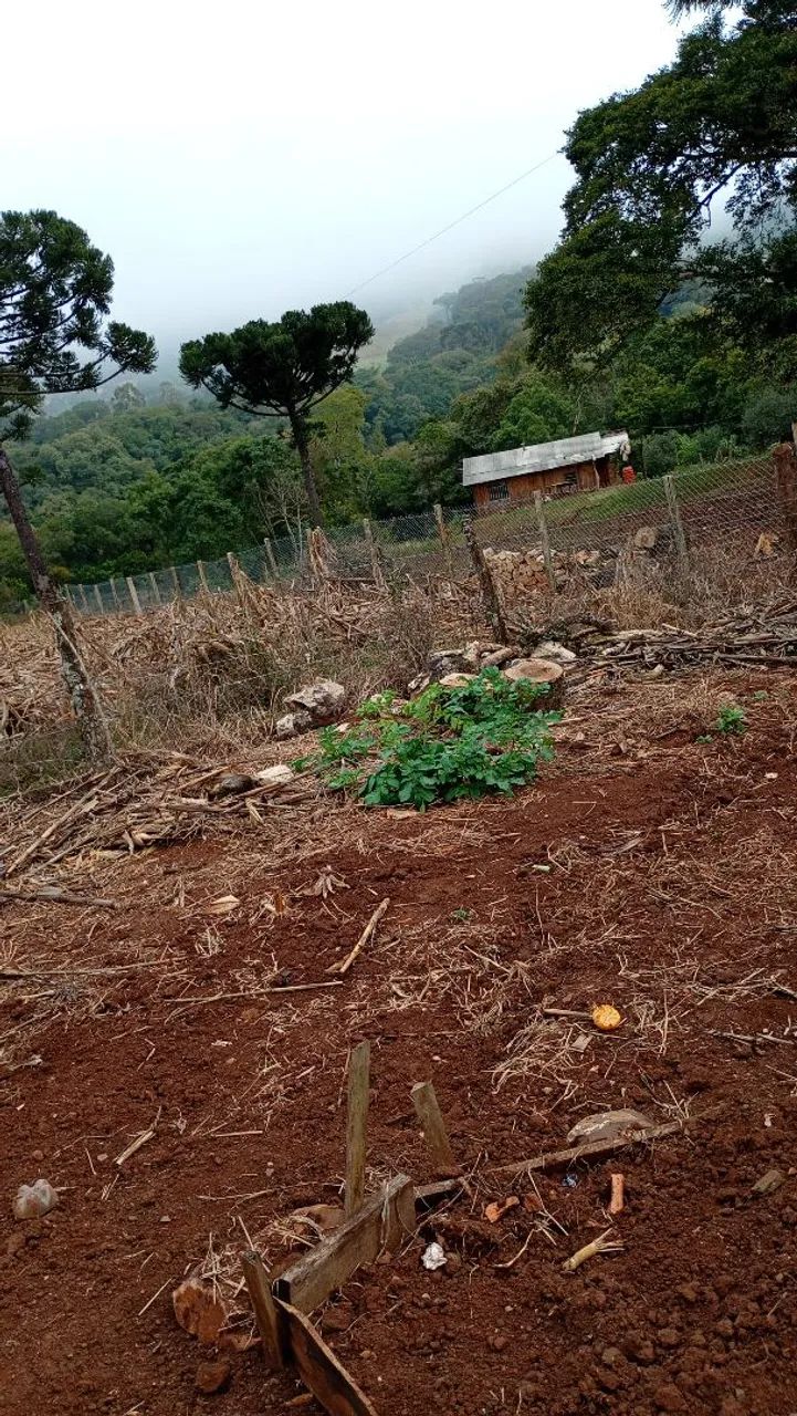 2 casa no sítio  - Foto 4