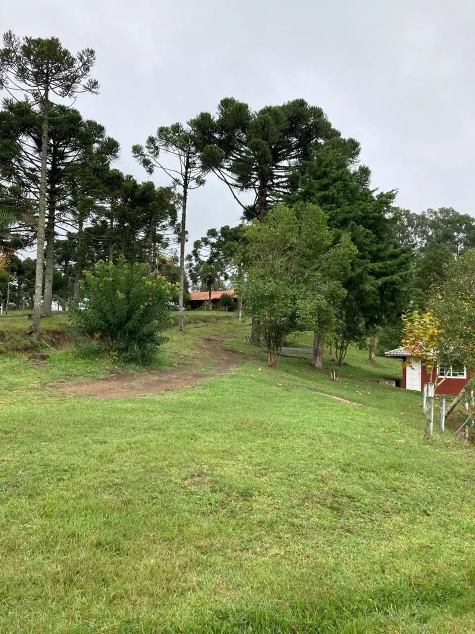 Imóvel para venda com 232000 metros quadrados em Índios - Lages - SC - Foto 2