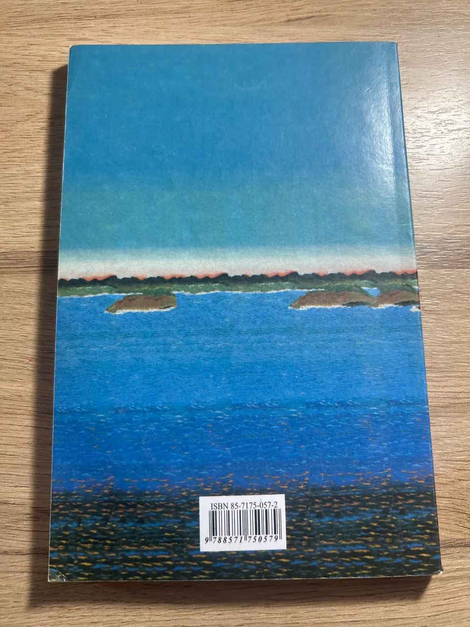 Livro Macunaíma - Foto 2