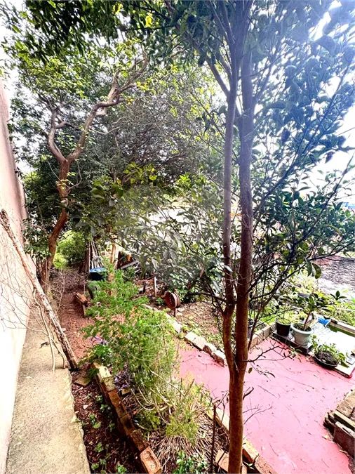 Terreno à venda em Vila mazzei - SP - Foto 5
