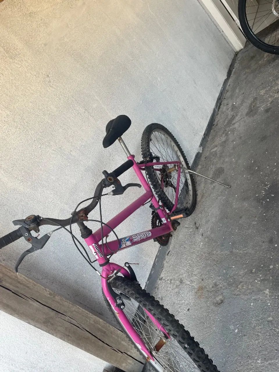Bicicleta 