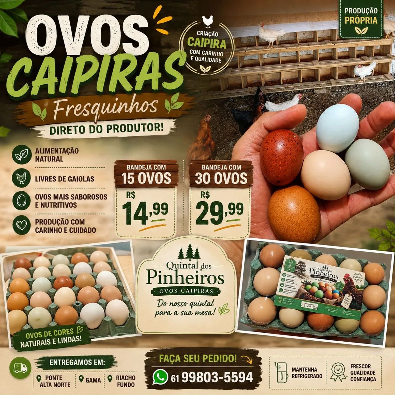 Ovos caipiras - Coloridos  - Foto 3