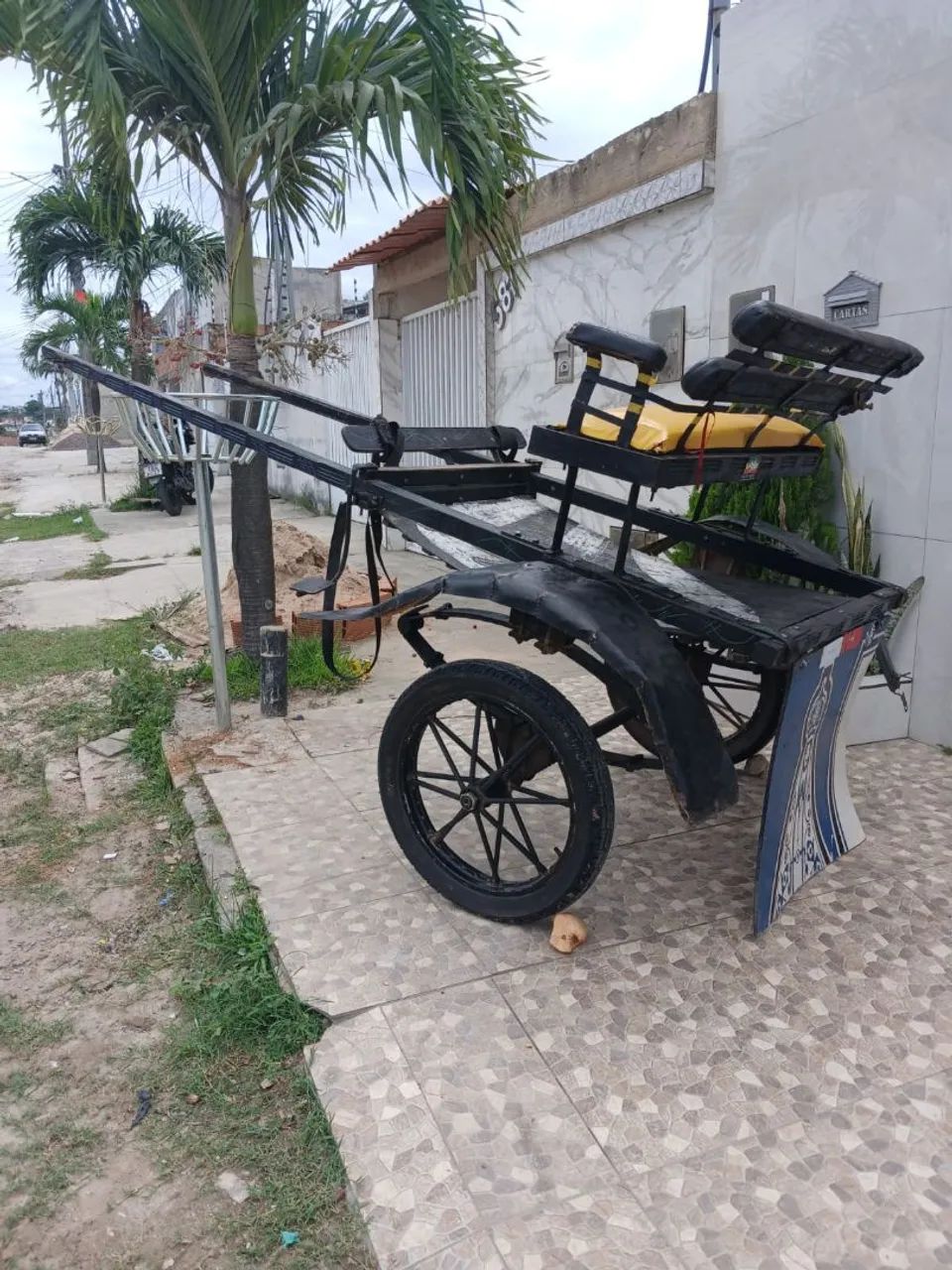 Vendo charrete  - Foto 4