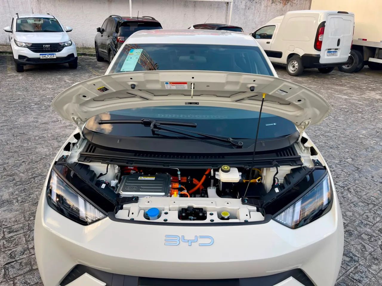 BYD Dolphin Mini GL 2027 - Foto 4