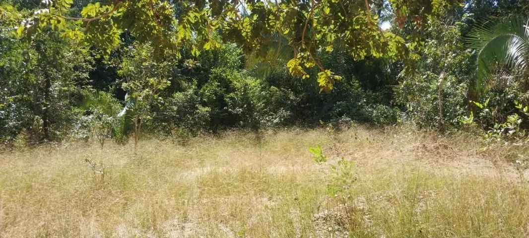 Venda de Terra - Foto 2
