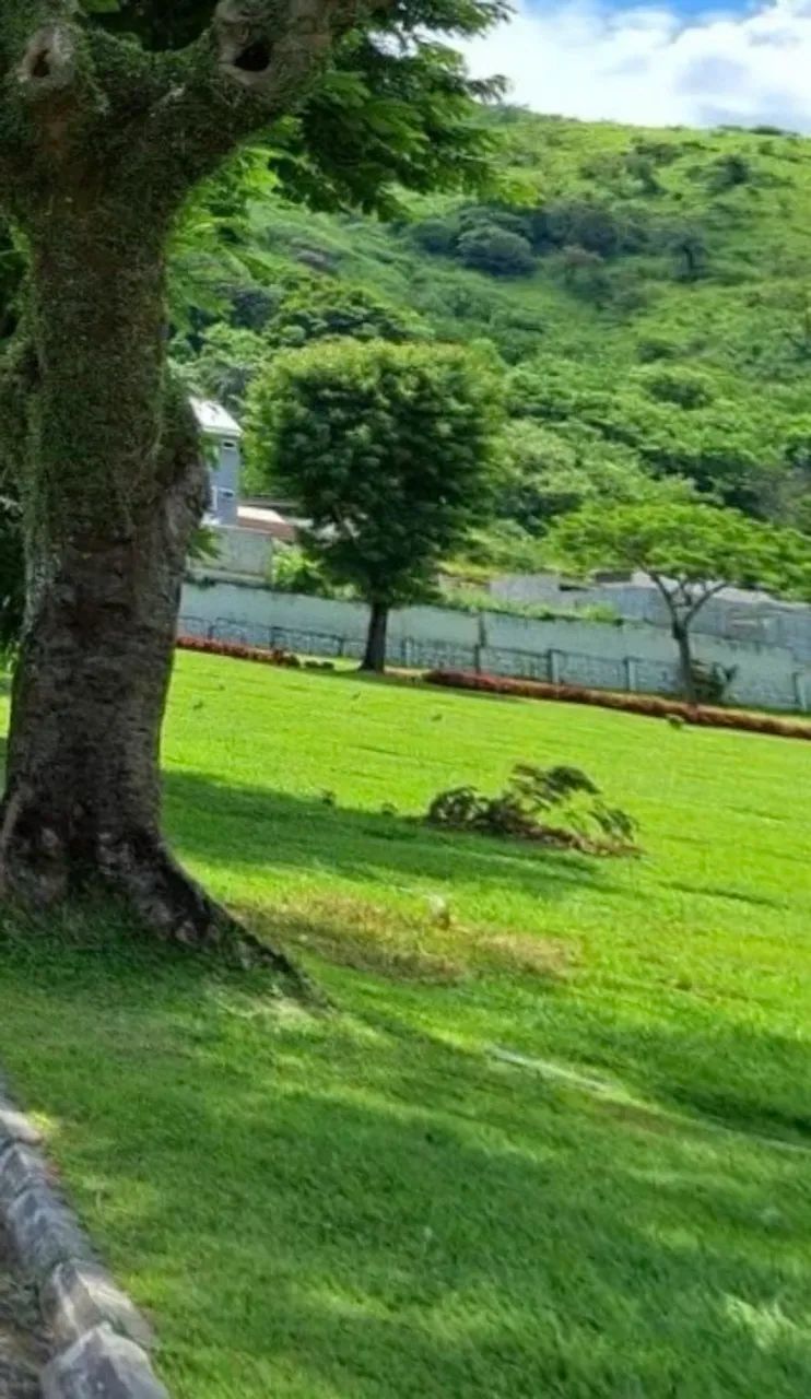 Jazigo Jardim da Saudade Sulacap  - Foto 3
