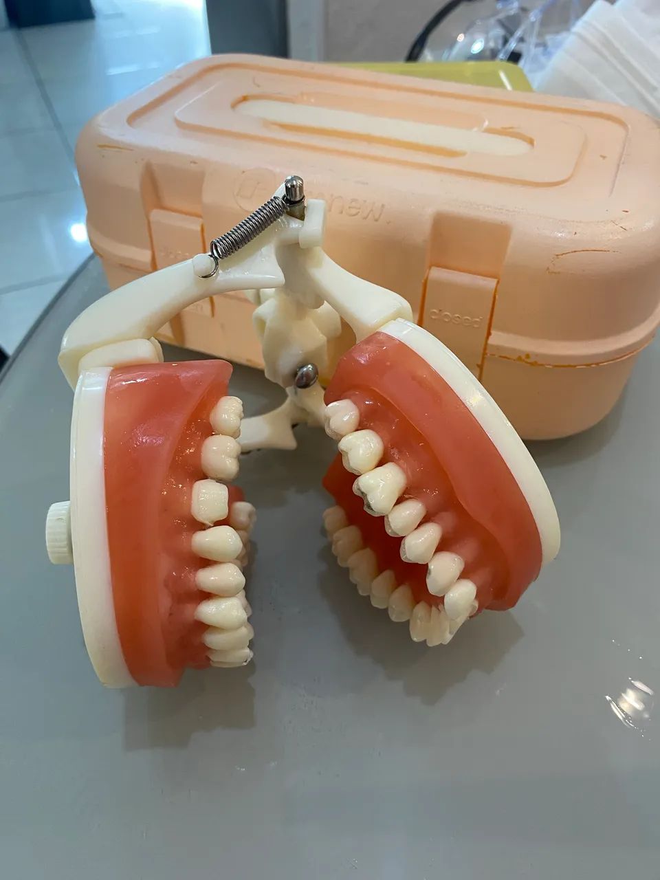 Manequim Dentistica Pronew- ótimo estado 