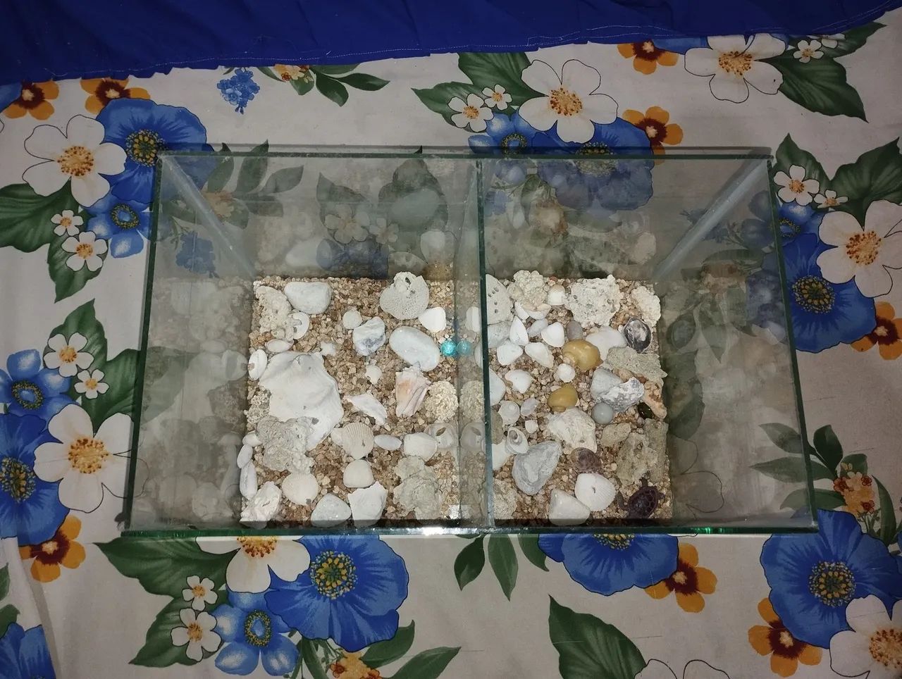 Aquário  - Foto 2