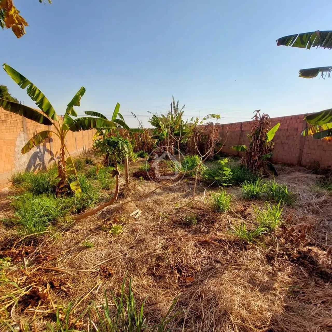 LOTE MURADO 12X30 EM NOVA LIMA - Foto 5