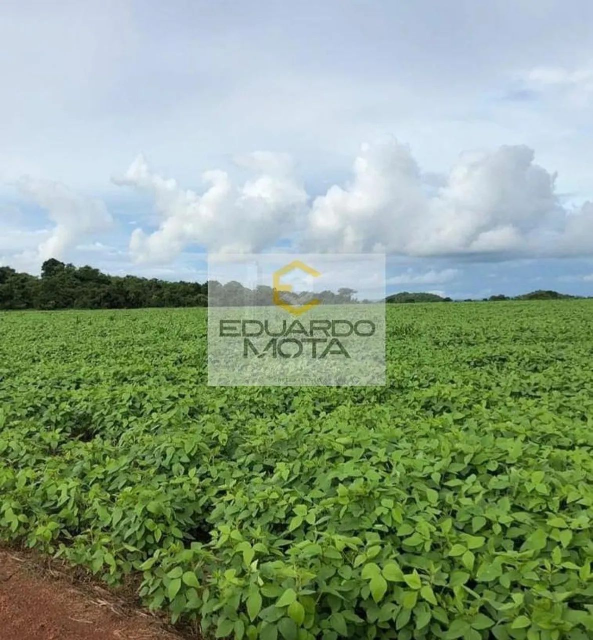 Fazenda em Centro - Vila Rica - Foto 3