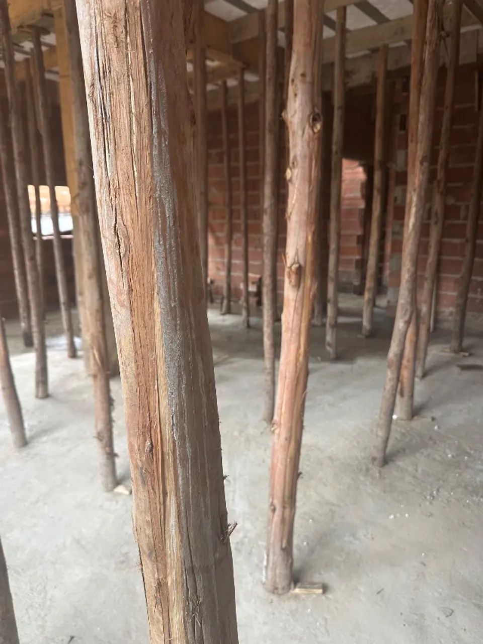 Escora de eucalipto - Foto 5