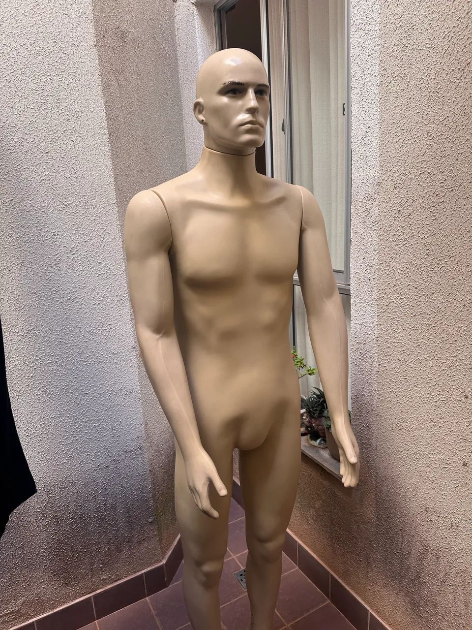 Manequim Masculino Roupa 