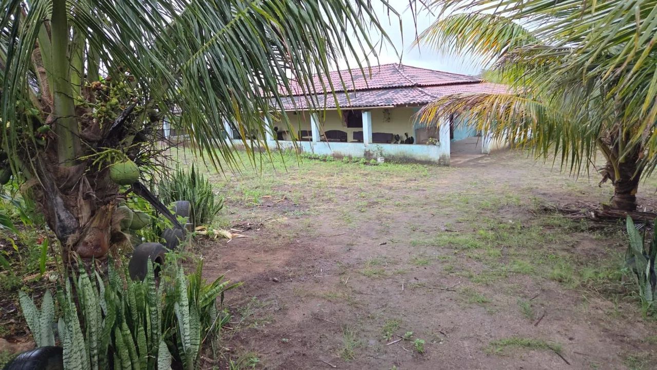 Sitio em Alagoa Nova  - Foto 3